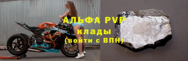 стафф Михайловск