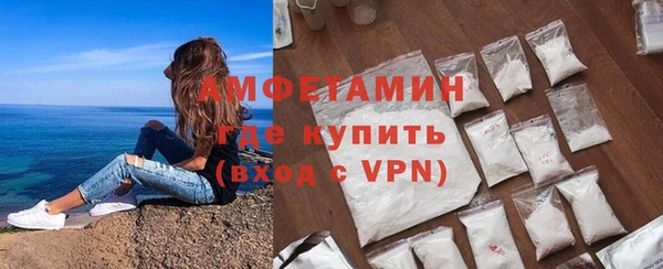 прущие грибы Наволоки
