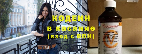 шишки Апатиты